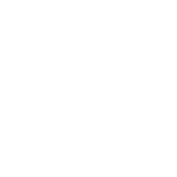 RPZ valve installation icon